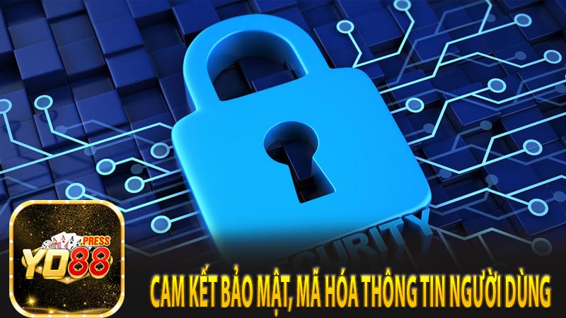 Cam kết bảo mật, mã hóa thông tin người dùng